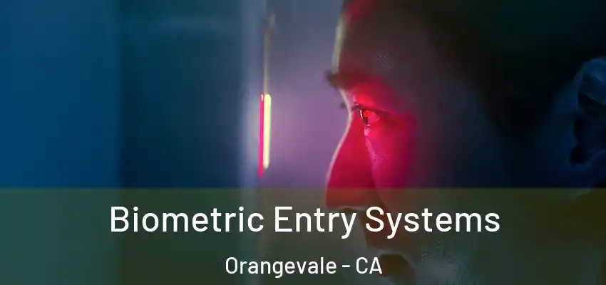  Biometric Entry Systems Orangevale - CA