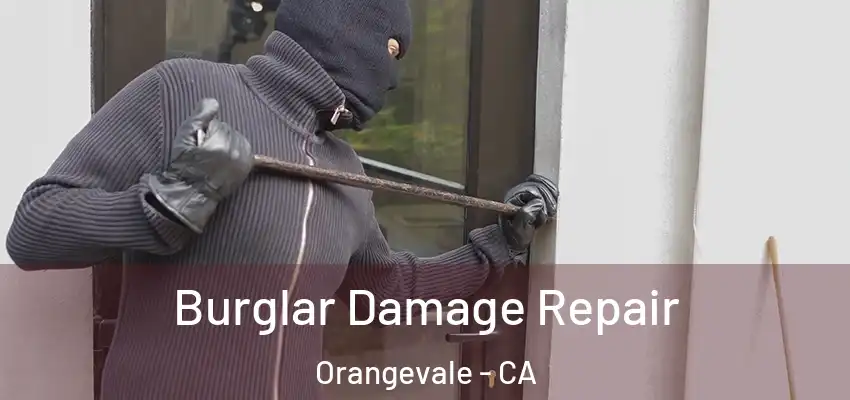 Burglar Damage Repair Orangevale - CA