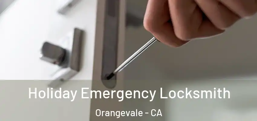  Holiday Emergency Locksmith Orangevale - CA